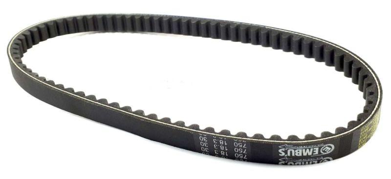 CORREIA TRANSMISSAO LEAD 110 09/16 - 11540 EMBUS