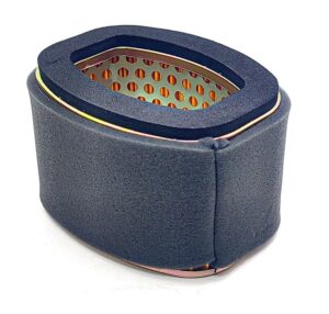 FILTRO AR BURGMAN 125 12/20 - 14869 EMBUS